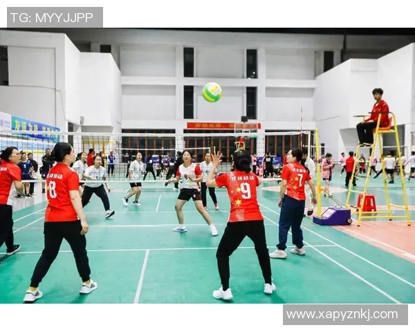 聚焦杭州排球队个人能力提升与团队协作的完美结合